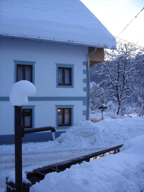 Ana Antloga Apartments Bled Exteriör bild